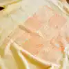 Welwitschia T in Custard - LE