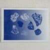 Blue Rocks
